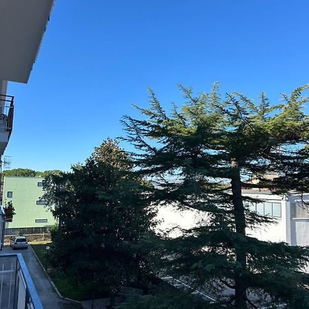 B&B Serangi - Il Piacere Di Sentirsi A Casa Cercola Eksteriør bilde